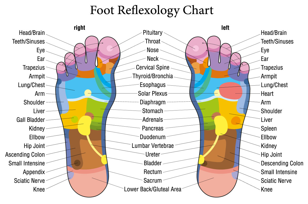 Foot Pressure Points To Induce Labor Chart